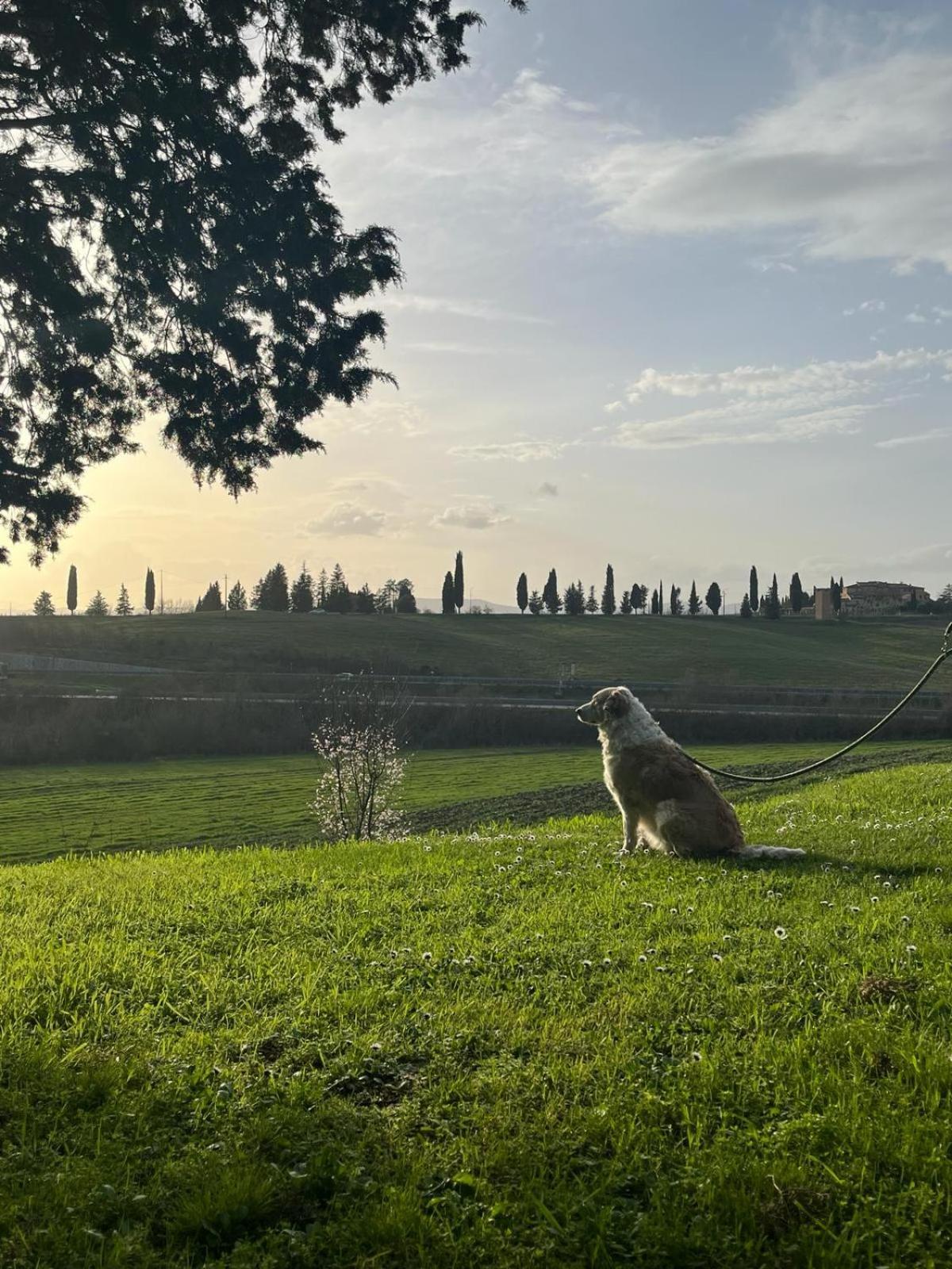Alloggio per agriturismo La Torre Di Monsindoli